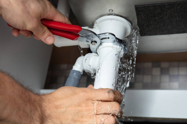 Best Professional water damage repair  in Rohnert Park, CA