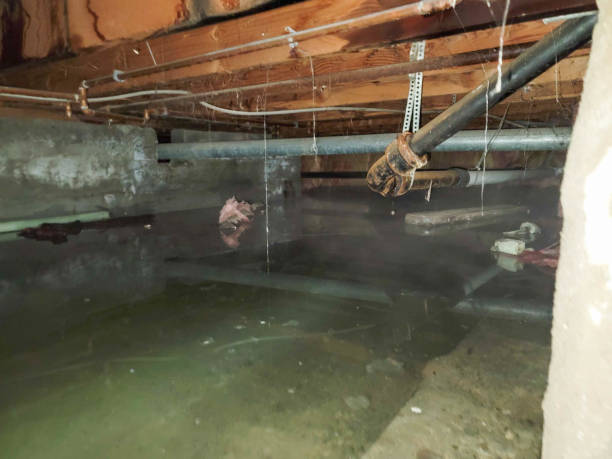 Best Emergency water damage restoration  in Rohnert Park, CA