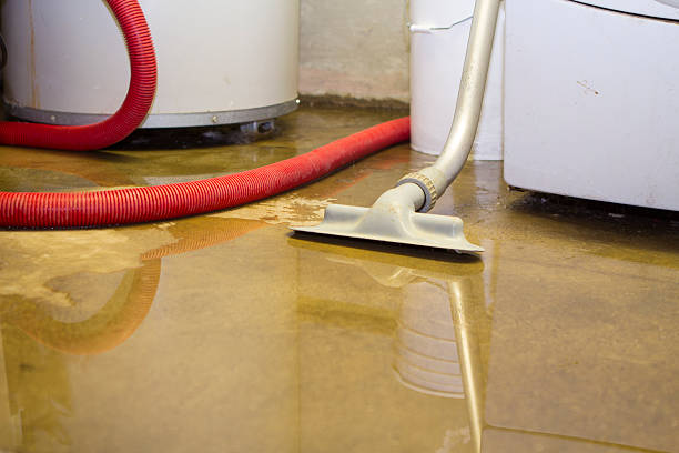 Best Mold removal after water damage  in Rohnert Park, CA
