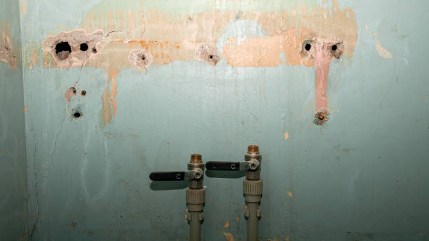 Best Flood damage cleanup  in Rohnert Park, CA